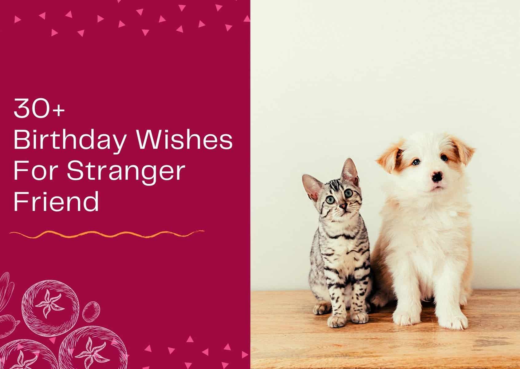 Read more about the article 30+ Birthday Wishes For Stranger Friend – Messages and Quotes