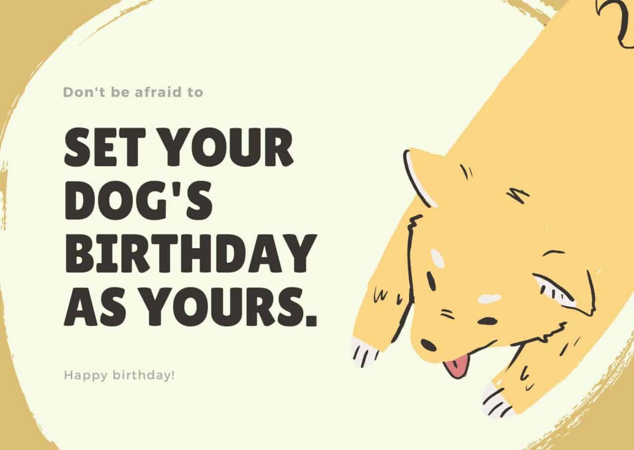 30+ Happy Birthday Wishes For Dog Lovers – WISHESLY