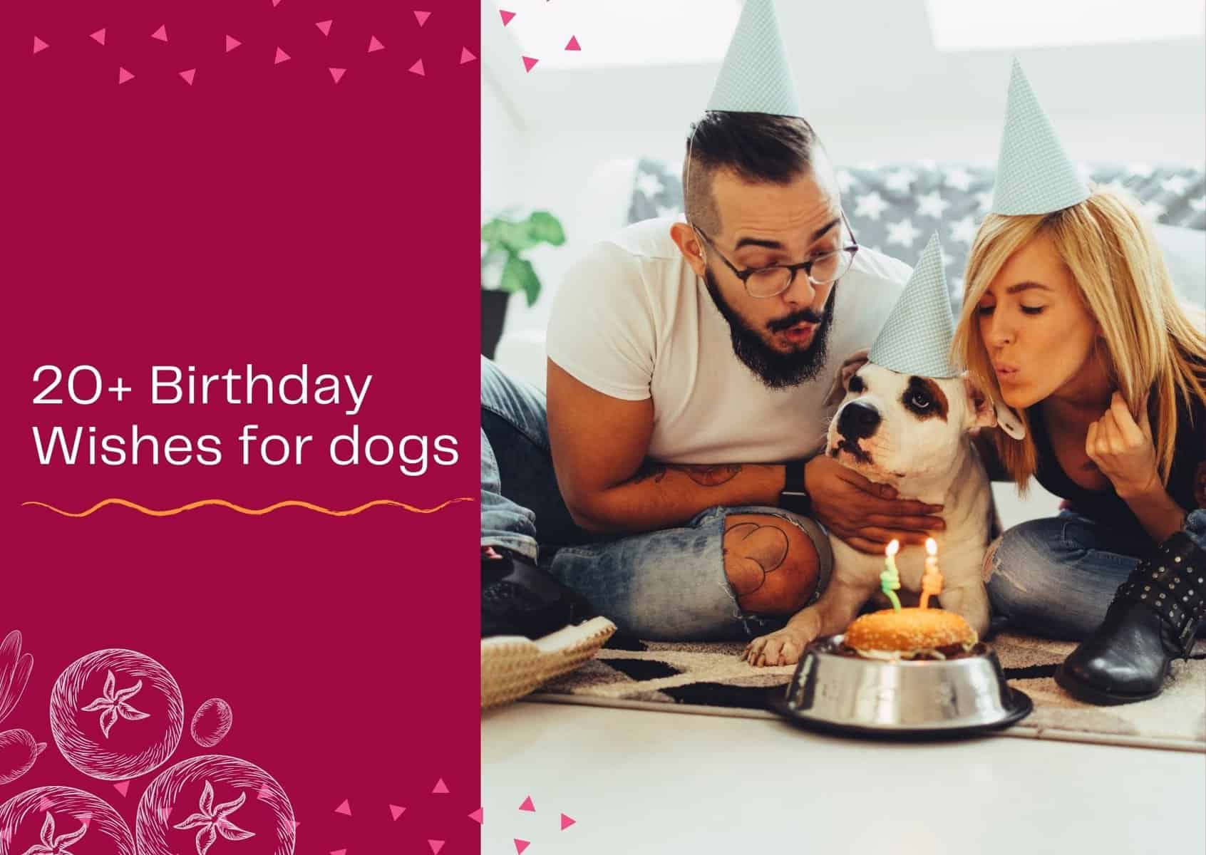 Read more about the article 20+ Birthday Wishes for dogs – Happy Birthday Dog